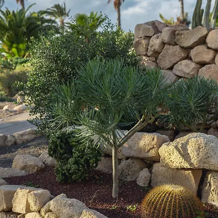 Luxury Amarilla Golf فيلة